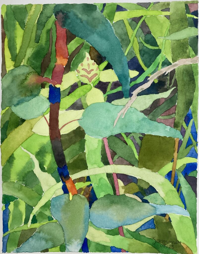 Aquarelle - 23 X 29 cm - août 2025