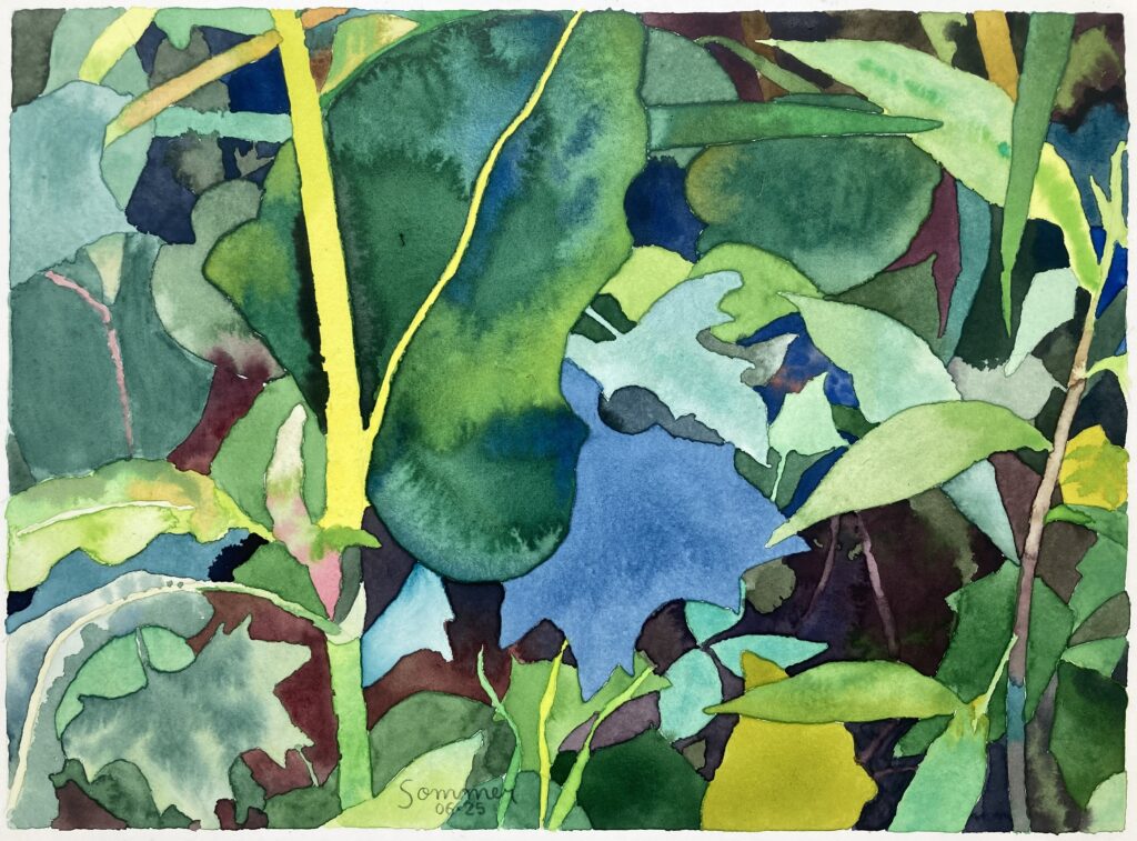 Aquarelle - 28 X 38 cm - juin 2025