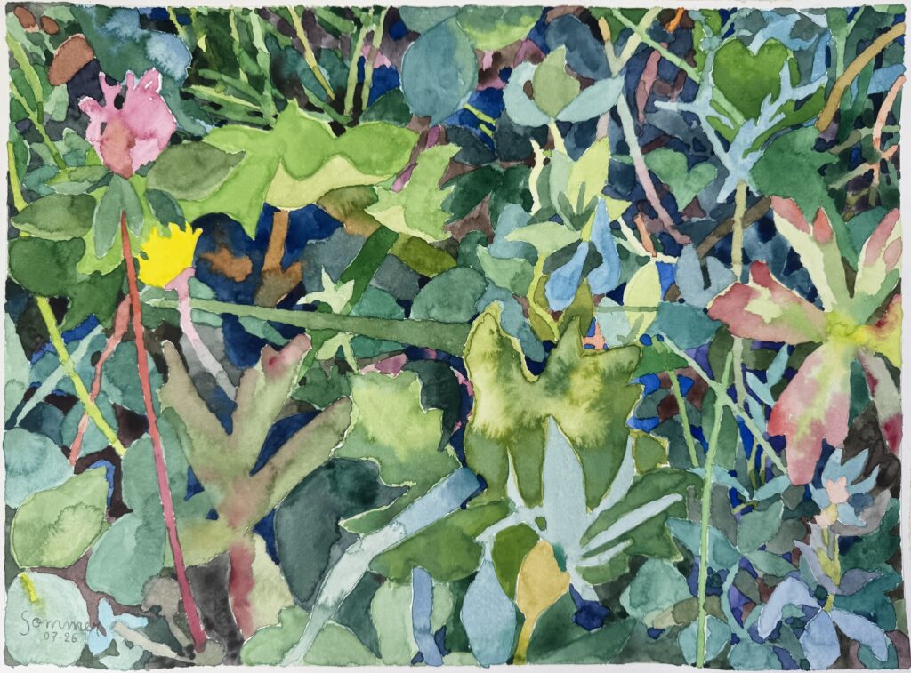 Aquarelle - 28 X 38 cm - juillet 2026