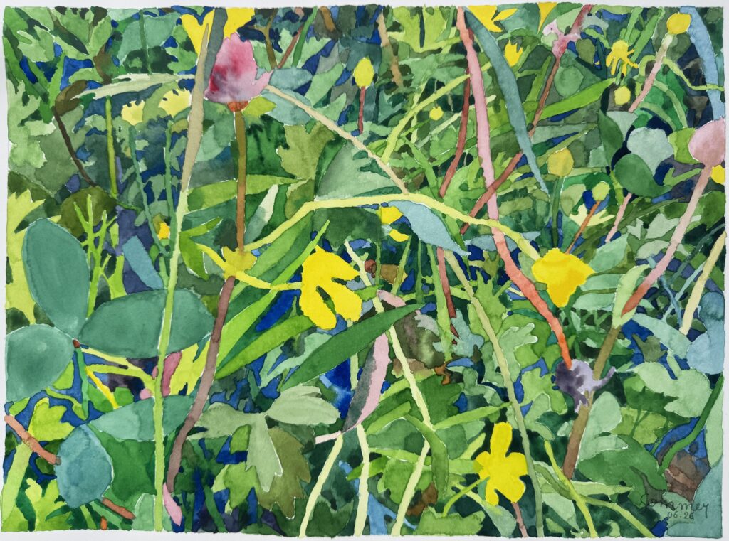 Aquarelle - 28 X 38 cm - juin 2026